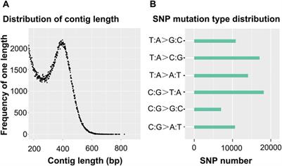 Analysis of genetic diversity among three Triplophysa tenuis populations by RAD-seq